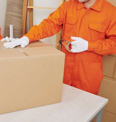Movers and packers services